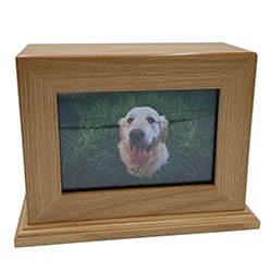A wooden photo frame box from TX displaying a picture of a happy yellow Labrador retriever sitting on green grass—perfect for honoring your beloved companion after pet cremation in Harris County.