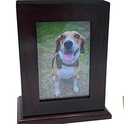 A framed photograph of a happy brown and white dog sitting on grass, displayed in a dark wooden frame with a wide base—a touching keepsake for families in TX considering pet cremation in Harris County.