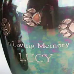 A shiny urn with engraved paw prints and the words "In Loving Memory LUCY" on its surface, reflecting light—an elegant tribute for pet cremation in Harris County, TX.