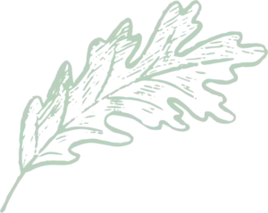 A light green botanical illustration of a leafy branch with multiple elongated leaves, drawn in a simple, pixelated style on a transparent background—ideal for use by pet cremation Harris County, TX services.