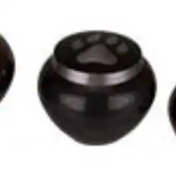 A small, round, dark-colored urn with a metallic lid featuring a paw print design on top, ideal for pet cremation in Harris County, TX.