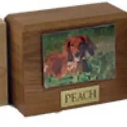 A wooden pet urn with a photo of a brown dog and a nameplate labeled "PEACH" on the front, perfect for honoring your beloved companion after pet cremation in Harris County, TX.