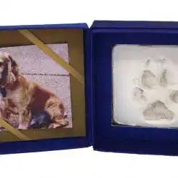 A blue box opened to display a photo of a golden-brown dog on the left and a paw print impression in white clay on the right, a heartfelt keepsake often chosen by families for pet cremation in Harris County, TX.