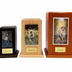 Three wooden pet urns of varying sizes from a pet cremation Harris County,TX service, each displaying a dog’s photo and name plaque—Charlie, Rosco, and Chloe—in black, light wood, and reddish-brown finishes.