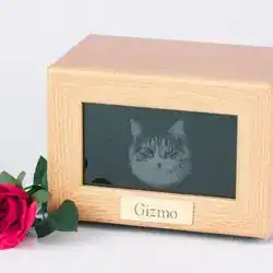 A wooden pet urn with a plaque reading "Gizmo" and a cat sketch on the front, crafted for pet cremation in Harris County, TX. A single red rose rests beside the urn.