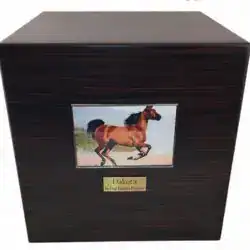 A dark wooden box with a photo of a galloping brown horse on the front and a gold nameplate beneath the picture, perfect for pet cremation in Harris County, TX.