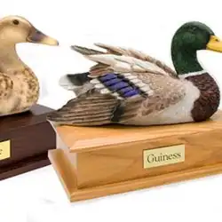 Two duck decoys mounted on wooden bases with nameplates. One is brown and tan, the other is a colorful mallard with green head and blue wing patch. Both are labeled, one reading "Guiness." Unique collectible from TX.