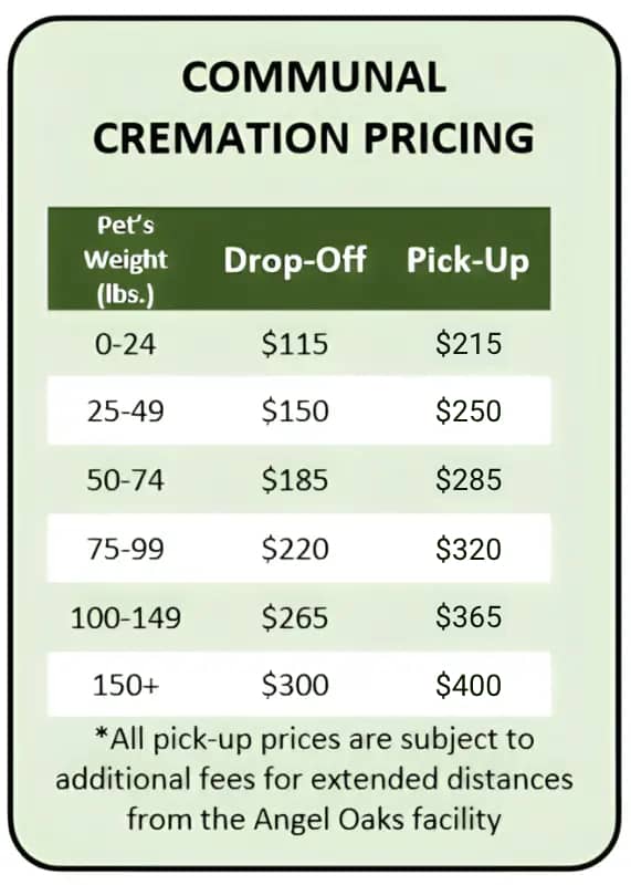 communal-cremation-1