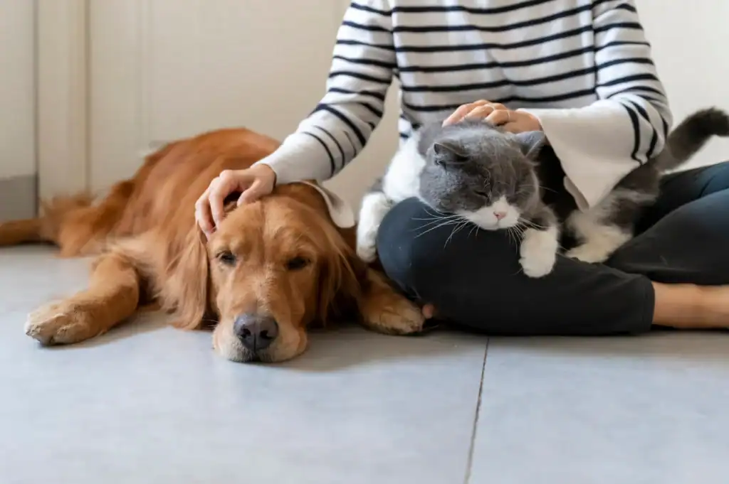 A person in a striped shirt sits on the floor, petting a relaxed golden retriever lying beside them and a gray and white cat resting on their lap.