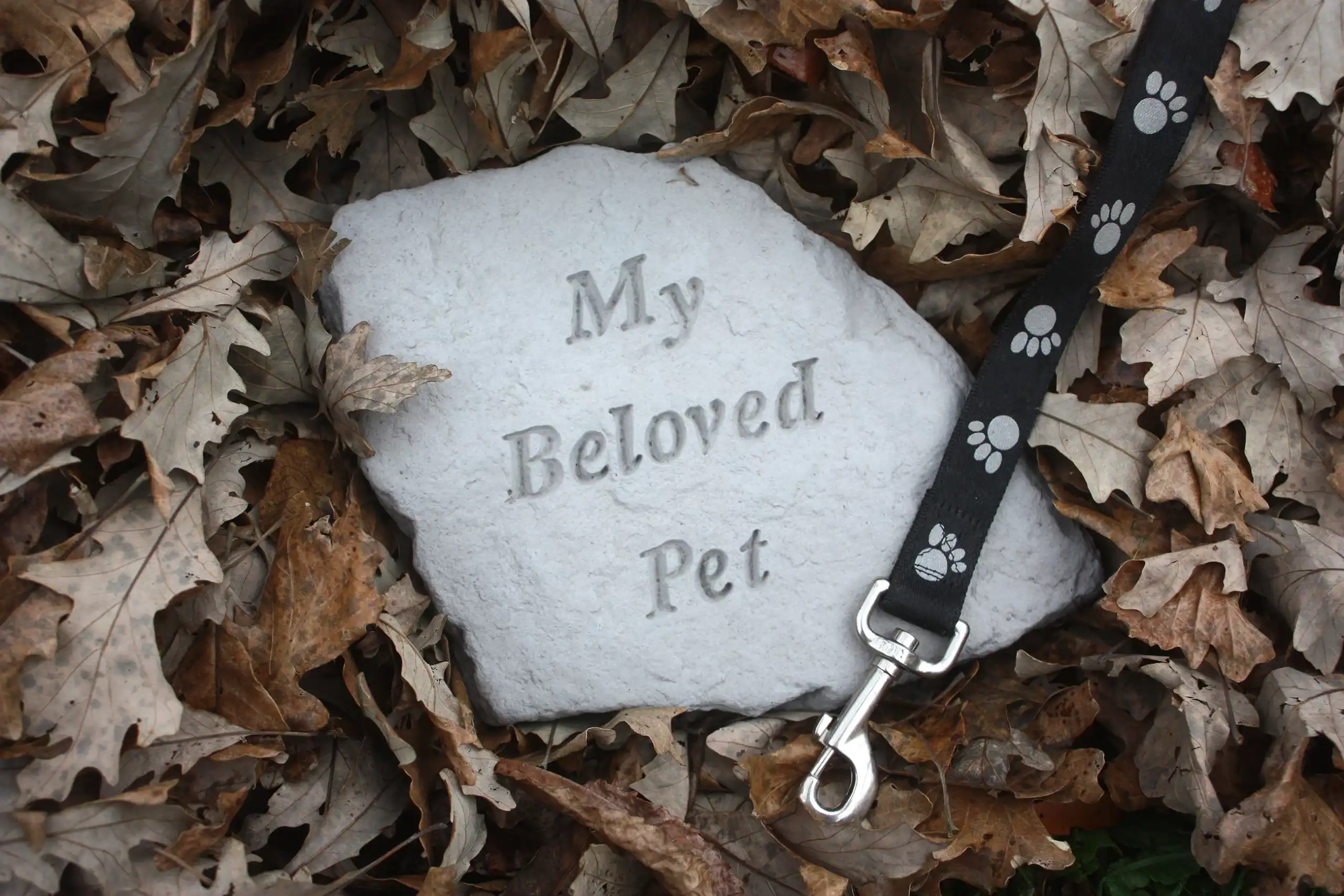 A memorial stone engraved with "My Beloved Pet" lies among dry leaves in TX, with a black leash featuring white paw prints—a touching tribute for those seeking pet cremation Houston services.