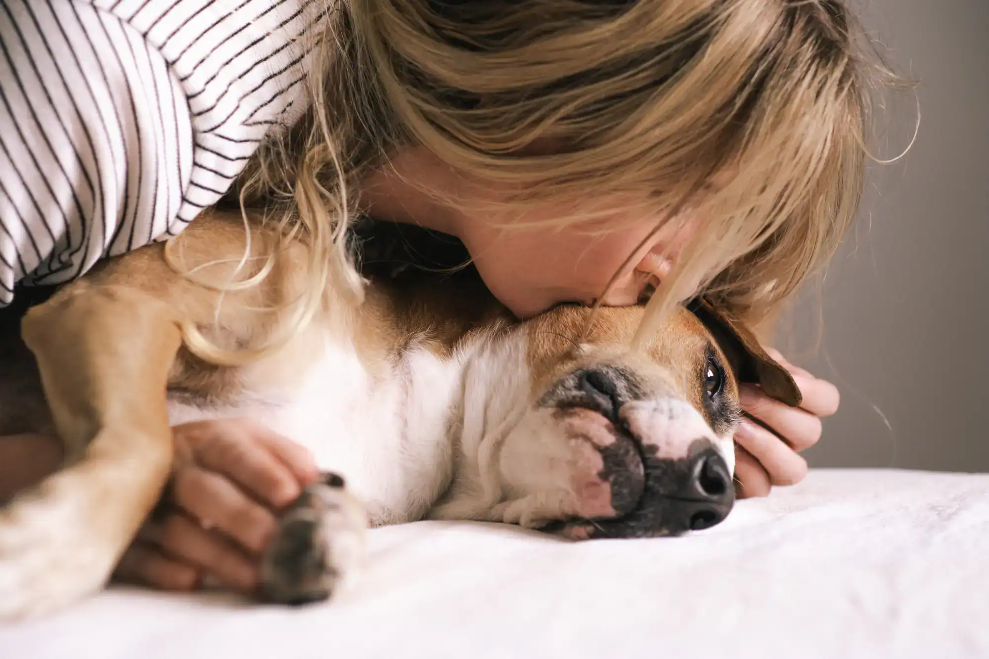 A gentle embrace between a grieving owner and their dog at Angel Oaks Pet Cemetery in Houston County, Texas, showing love, comfort, and remembrance