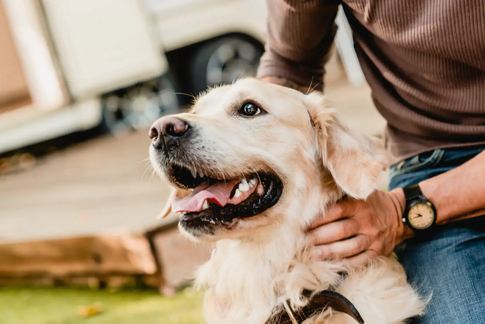 A person relaxes outdoors with their golden retriever, cherishing every moment in Harris County.