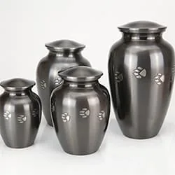 Large Brass Paw Print Series Urn