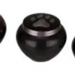 Paw Print Jar
