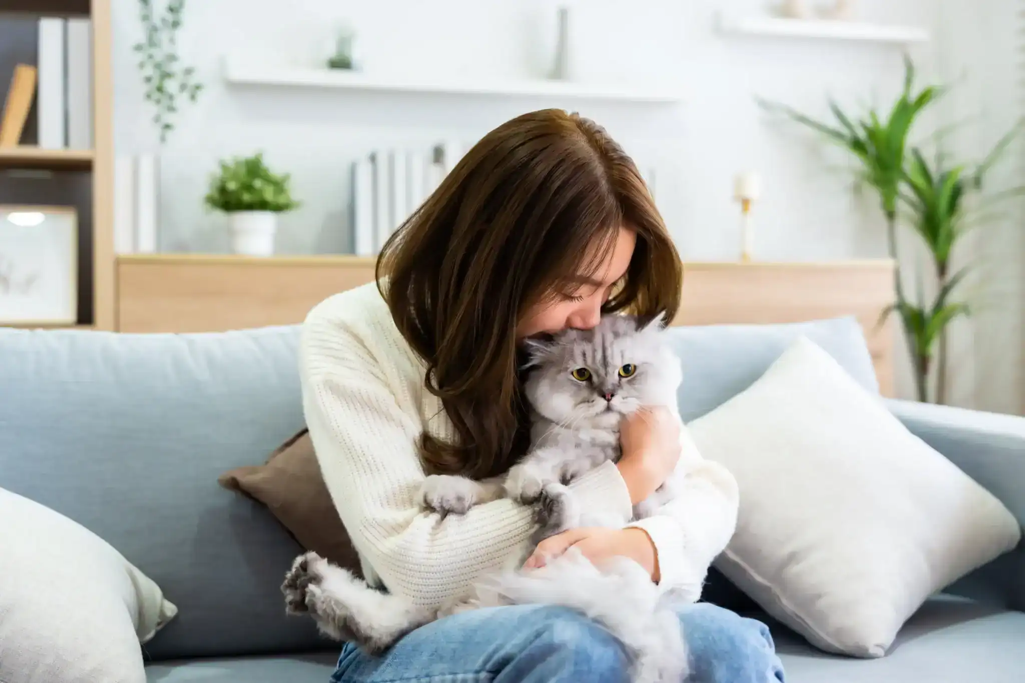 Woman lovingly hugs and kisses her fluffy gray cat in a cozy living room&mdash;At-Home Pet Euthanasia Harris County.