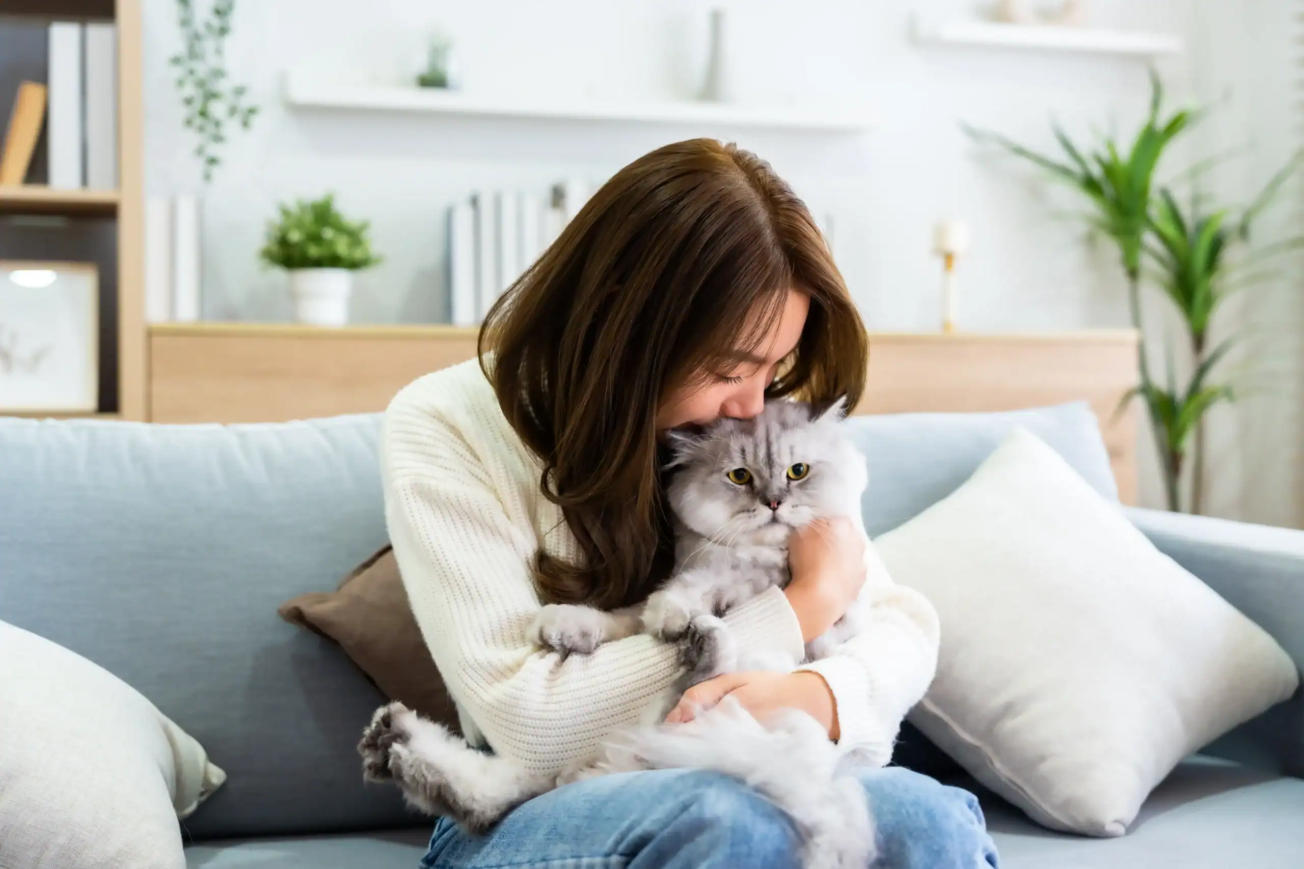 A woman sits on a couch in a cozy living room, gently hugging her gray cat&mdash;At-Home Pet Euthanasia.