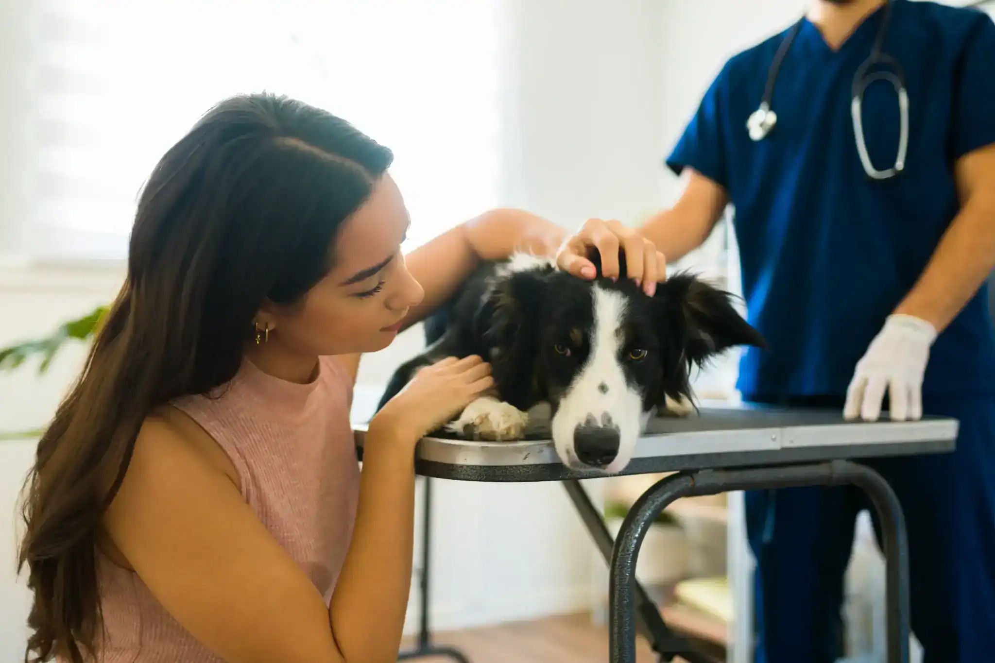 A woman comforts her sad dog on a vet&rsquo;s table during Pet Euthanasia Harris County as the vet looks on.
