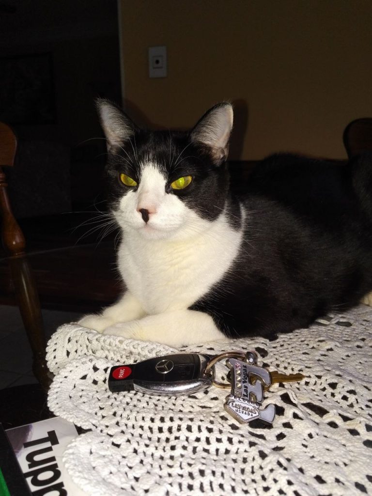 A black and white cat sits on a lace tablecloth beside car keys and a keychain on a dining room table.