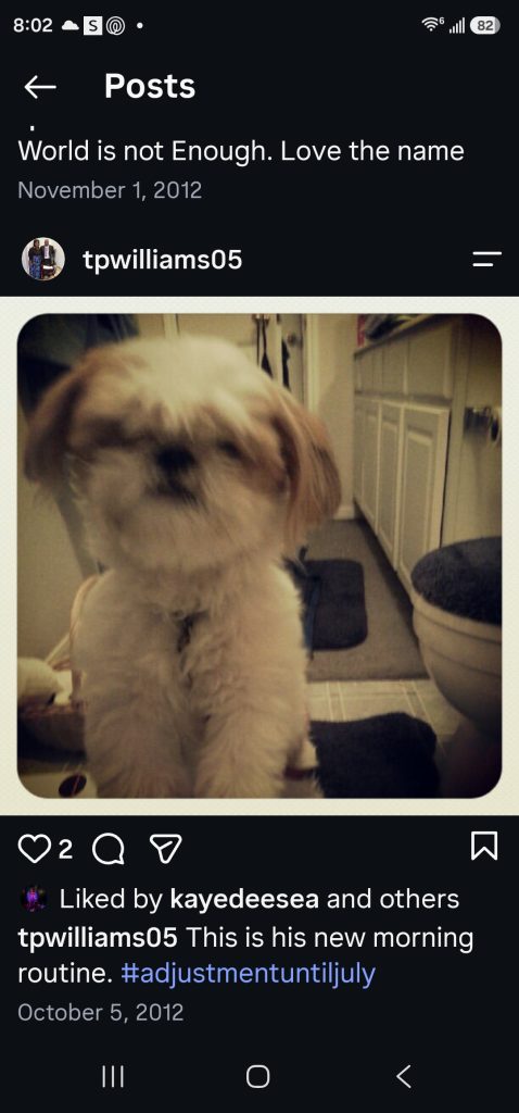 Blurry photo of a small white and brown dog on a bathroom rug by the sink, near the bathroom counter.