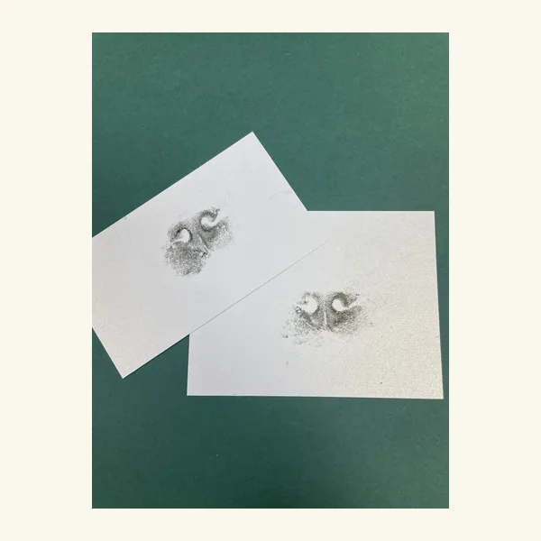 Ink nose print on a card
